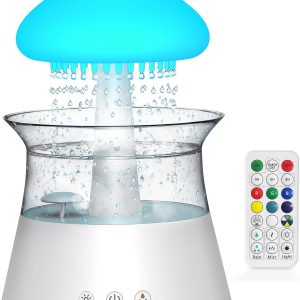 Rain Cloud Humidifier